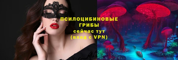 соль ск Богородицк