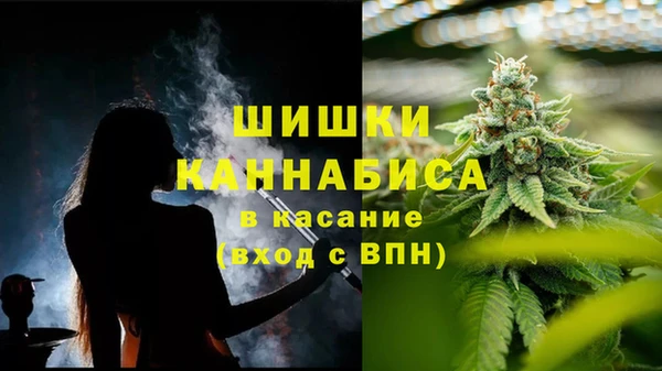 мяу мяу мука Богданович
