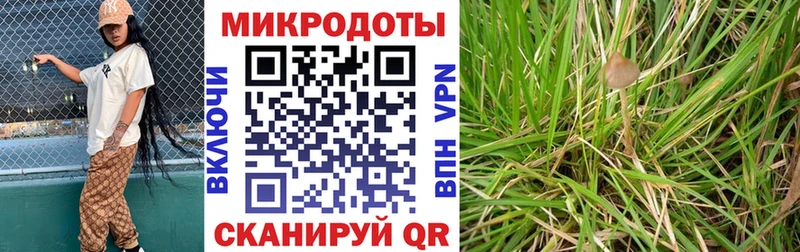 KRAKEN зеркало  Армавир  Галлюциногенные грибы мицелий  где купить наркоту 